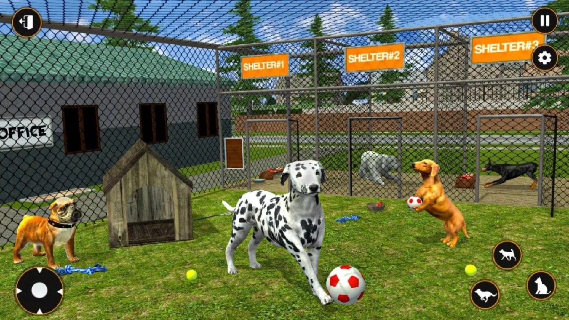 Review: Animal Shelter 2