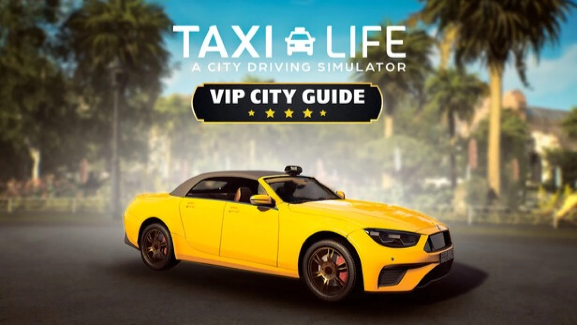 Review: Taxi Life – VIP City Guide