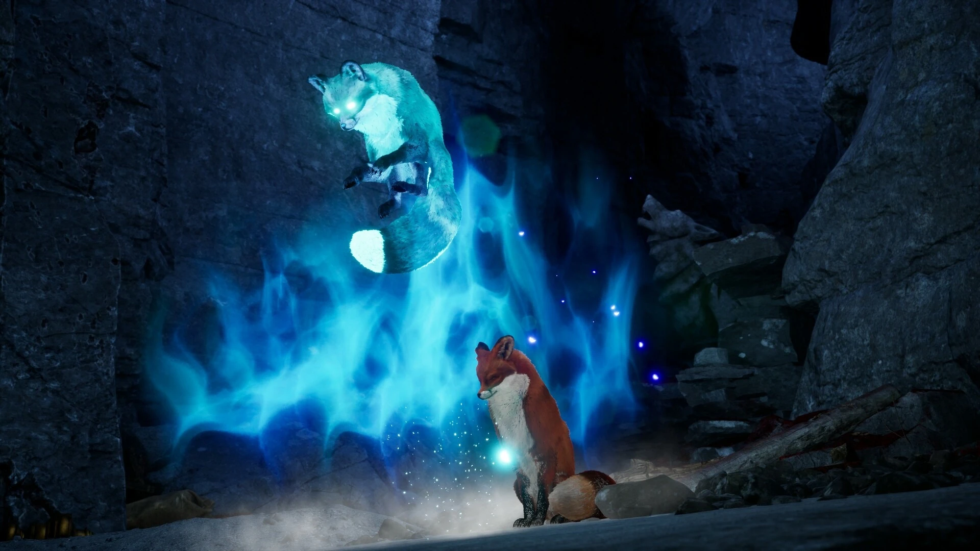 Review: Spirit of the North 2