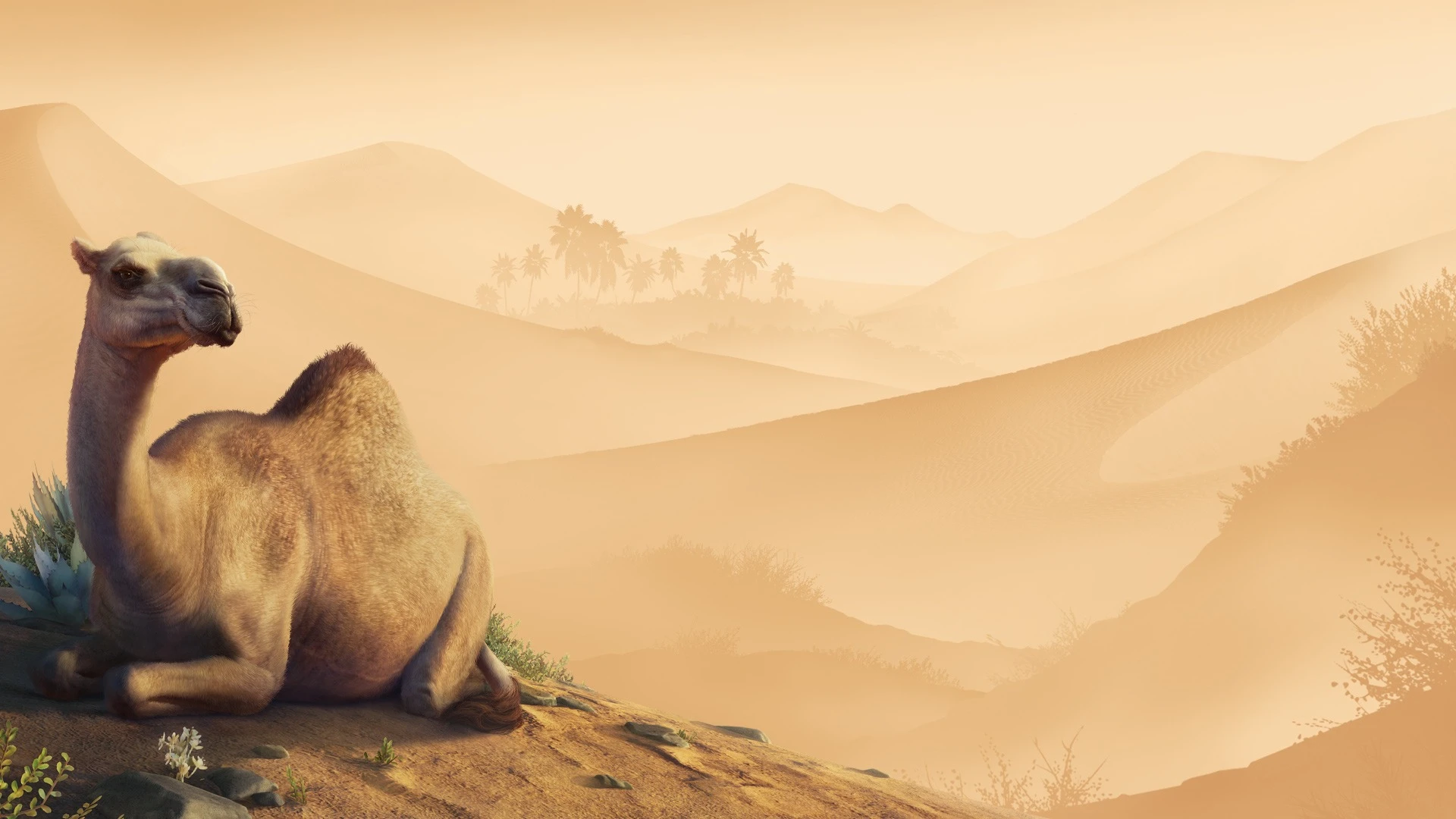 Review: Planet Zoo: Arid Animal
