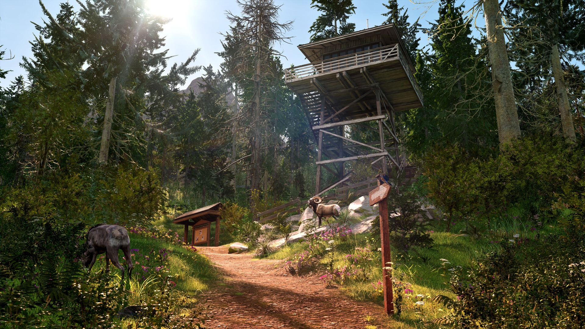 Nieuwe natuurbeheergame aangekondigd: Ranger’s Path – National Park Simulator